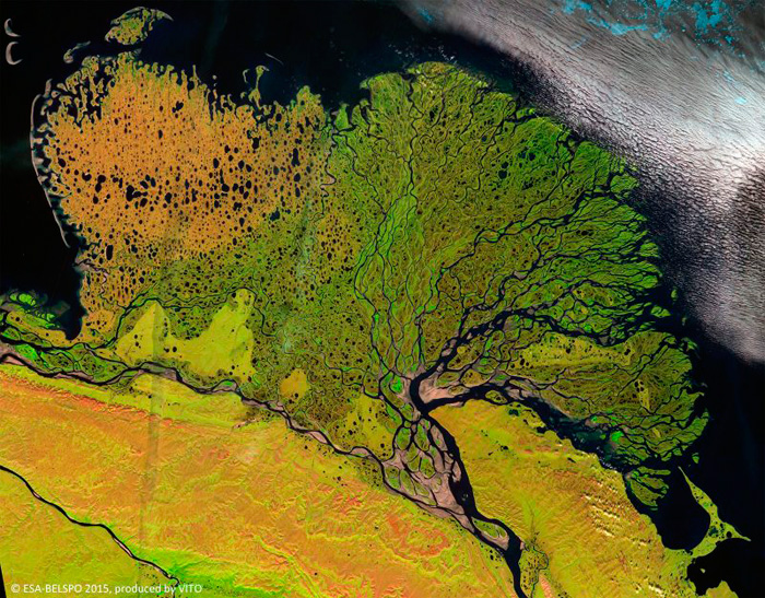 Lena Delta, Russia. European Space Agency Proba-V satellite image.
