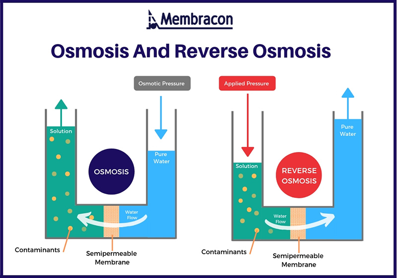 Reverse Osmosis and RO+UV Water Purifiers Working Explained