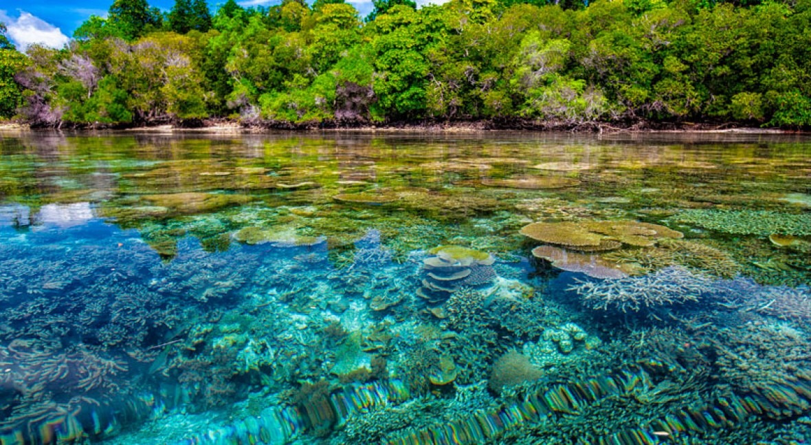 Coral reefs provide flood protection worth $1.8 billion every year – it’s time to protect them