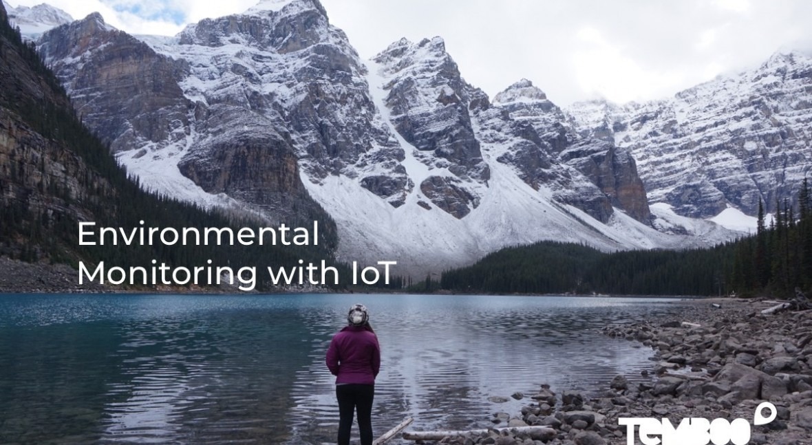 Why environmental monitoring with IoT could solve the climate crisis