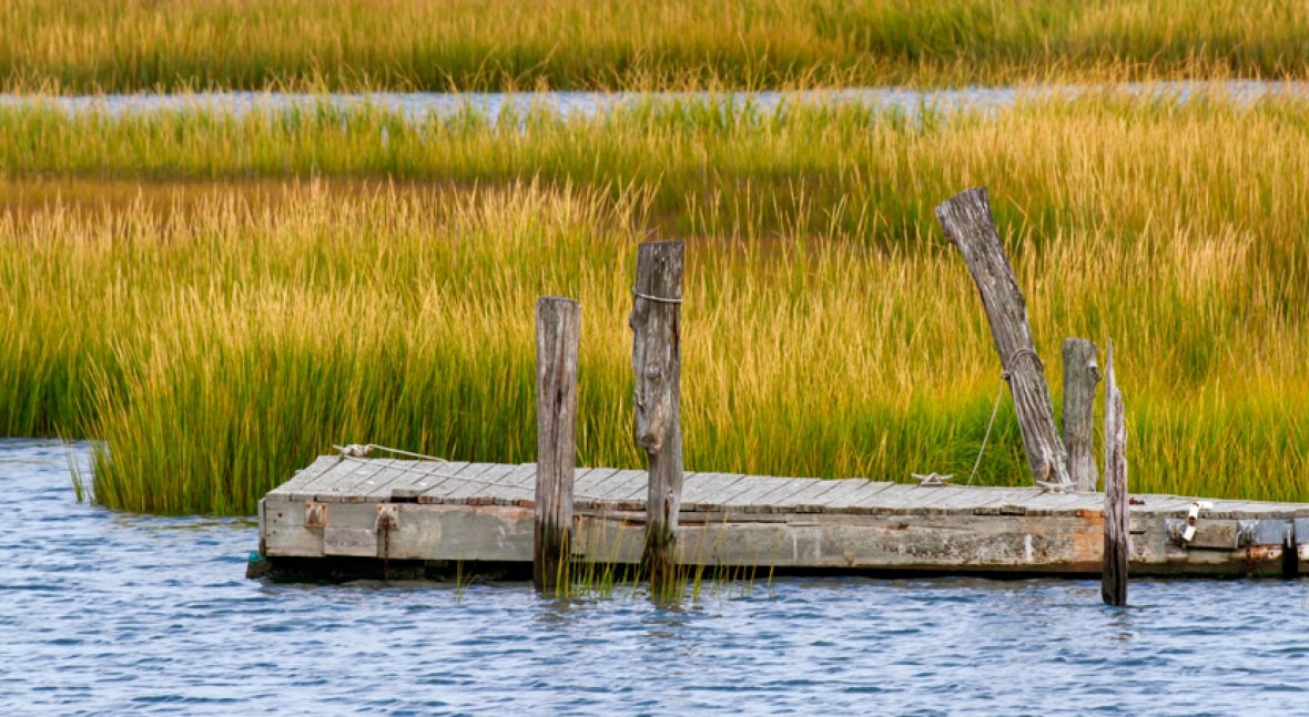 New Jersey’s tidal marshes in danger of disappearing, study shows