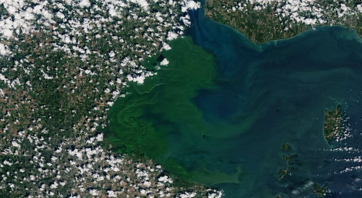 How giving legal rights to nature could help reduce toxic algae blooms in Lake Erie