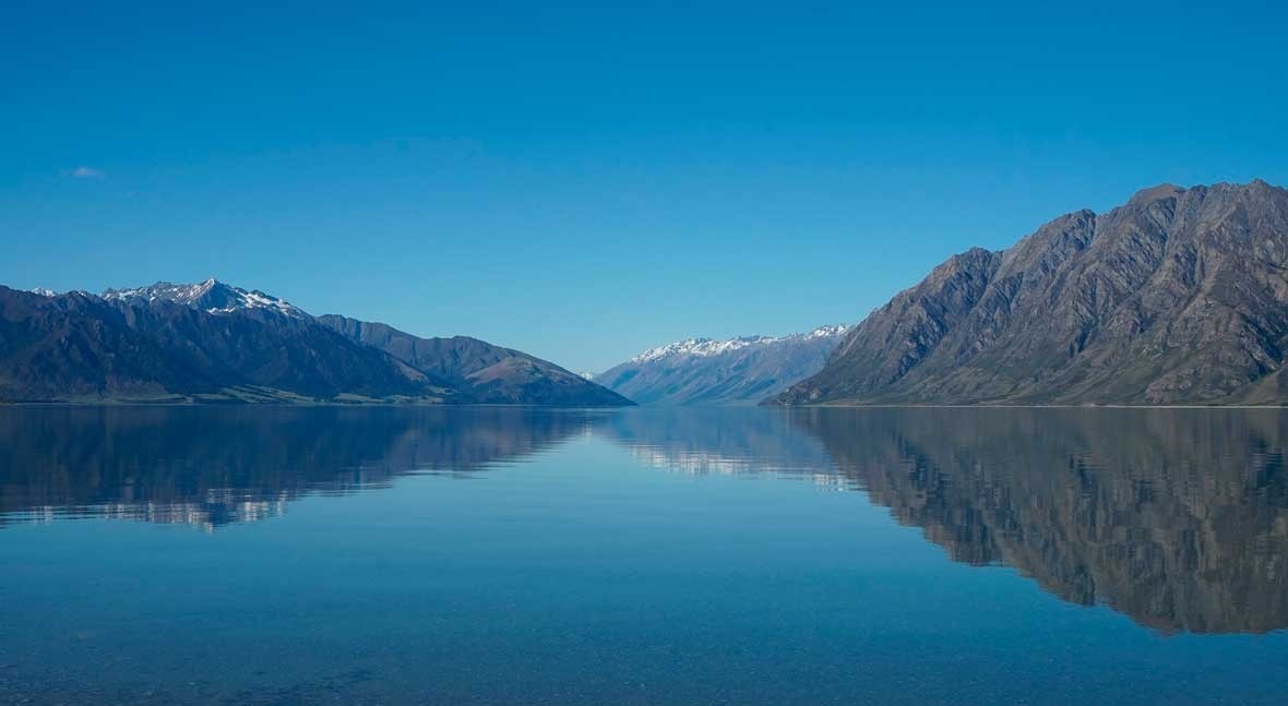 New Zealand government ignores experts in its plan to improve water quality in rivers and lakes