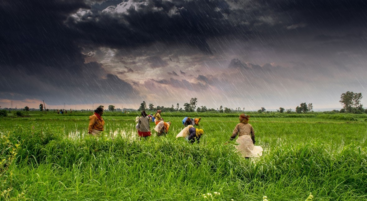 India: the human side of the climate crisis