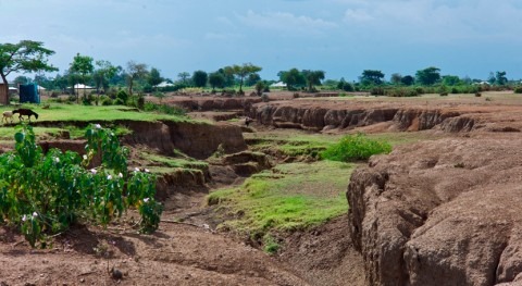 Urgent need for new approach to combat global grassland degradation