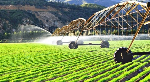 Irrigation schemes in sub-Saharan Africa are consistently falling short of their promises