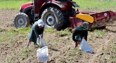 ADB grants $30 million to modernize irrigation and drainage in Tajikistan