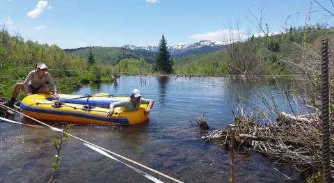Beaver ponds with deeper sediments store more nitrogen, simple mapping reveals