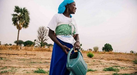Denmark grants $30 million to African Water Facility for climate-smart water and sanitation