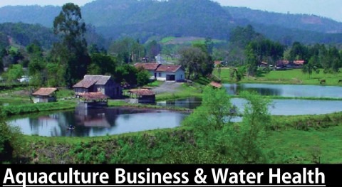 Aquaculture business & water health