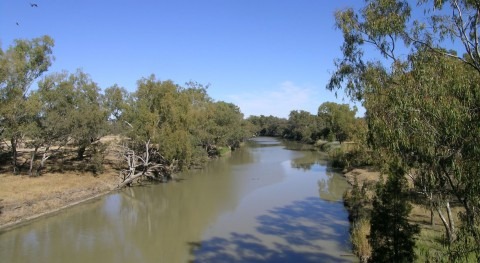 NSW’s water plan is ‘not working’ but we can save the Barwon-Darling