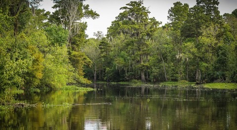 $3 billion water diversion project will fight coastal wetland loss in Louisiana