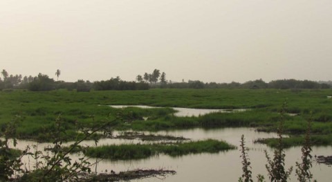 Benin extends two Ramsar Sites to cover entire coastal area