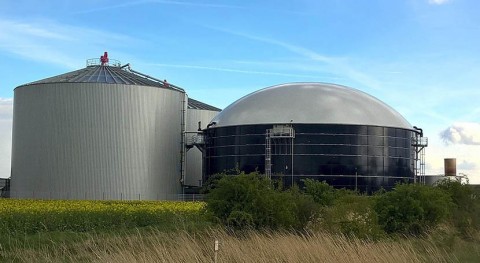 Biogas and biomethane supply chains contribute much to global methane emissions
