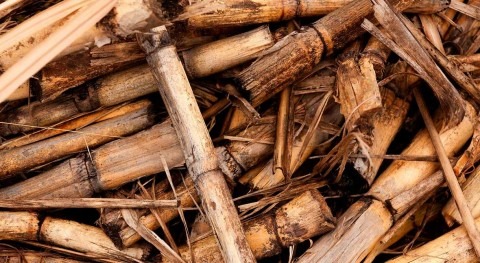Metito to deliver comprehensive water treatment program for 10 biomass power plants in Thailand