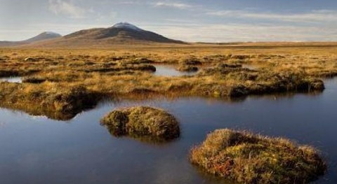 Human activity means UK peatlands contribute to climate change