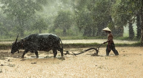 Thailand taps groundwater resources as hot season drought looms