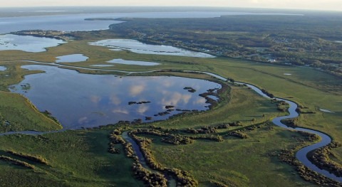 Natural Heritage Conservation Program provides new protection for Canada’s wetlands