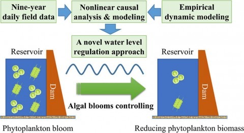 Novel water level regulation approach effectively controls phytoplankton blooms in reservoirs