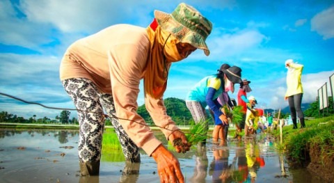 Enhancing the resilience of the Philippine agriculture against climate change