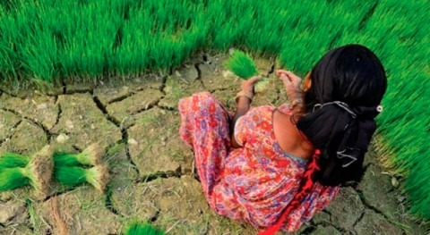 Climate impacts are becoming an increasingly urgent reality, says report