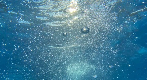 Aquatic robots can remove contaminant particles from water