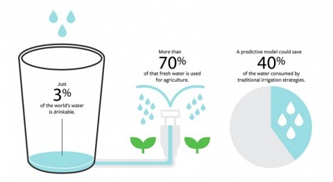 Smart irrigation model predicts rainfall to conserve water