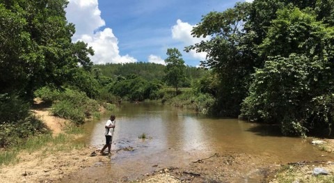 Cuba’s clean rivers show the benefits of reducing nutrient pollution