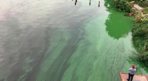 Cyanobacteria in water and on land identified as source of methane