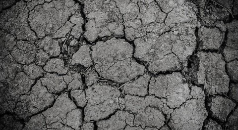 Metropolitan Board takes actions to alleviate drought