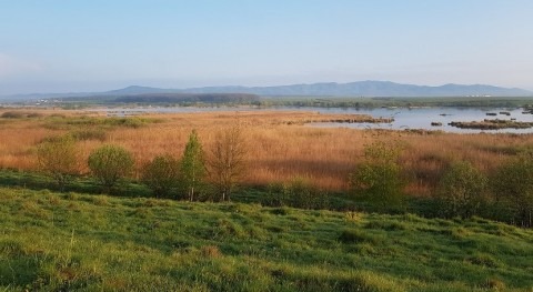 Romania extends protection of the Dumbravita-Rotbav Fishpond Complex