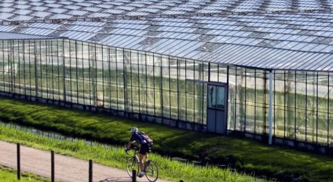 Dutch aquifers bank rainwater to help farmers avoid going bust