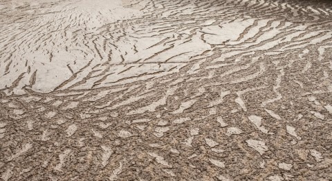 Moleaer partners with Xylem to expand nanobubble technology for water treatment