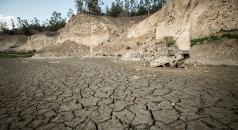 Droughts will be 35% more costly by 2035, warns latest OECD report