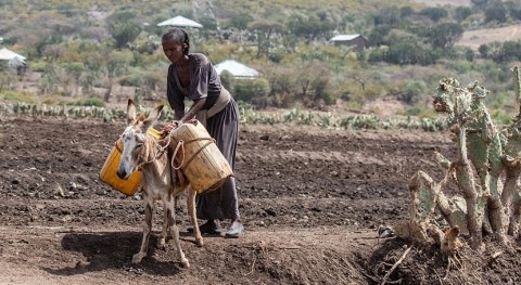 : 500 million live in 19 African nations deemed water insecure