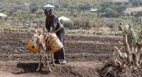 Denmark donates $10 million to UNICEF to invest in sustainable water supply systems in Ethiopia