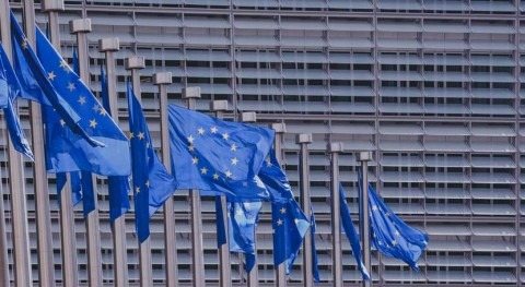 The European Parliament declares climate emergency