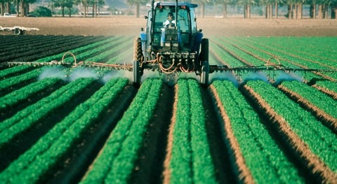 Water, the food chain and persistent pesticides