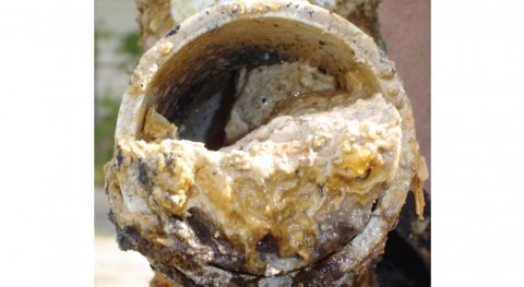 Autopsy of giant fatberg reveals false teeth and sanitary products