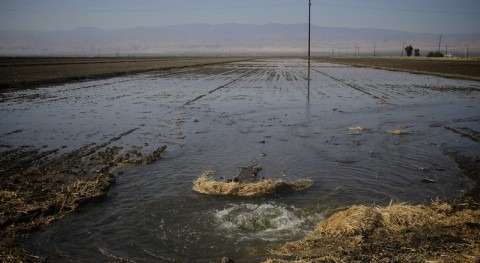 Tracking water storage shows options for improving water management during floods and droughts