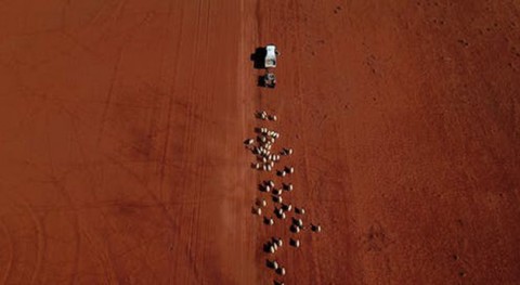 'Flash droughts' can dry out soil in weeks. New research shows what they look like in Australia