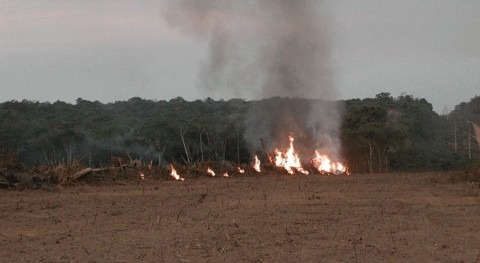 Fire in the Amazon associated more with agricultural burning and deforestation than with drought