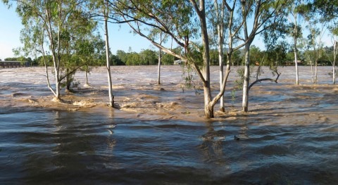 Floods may be nearly as important as droughts for future carbon accounting