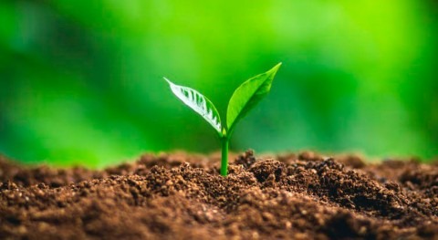 Food and clean water start with soil biodiversity: learning more about it is urgent