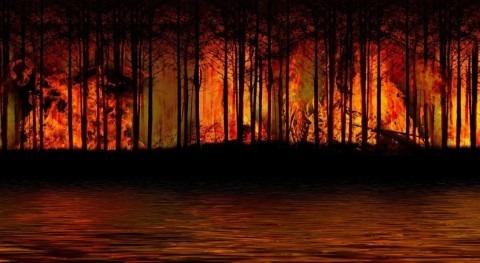 Wildfires pose long-term risks to drinking water sources worldwide, study finds