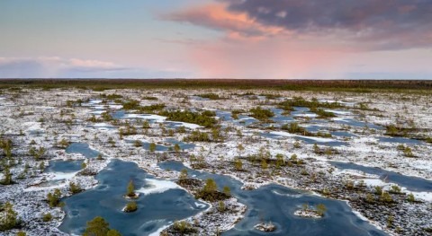 We mapped the world’s frozen peatlands – what we found was very worrying