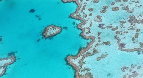 Study reveals groundwater as significant pollution source impacting the Great Barrier Reef
