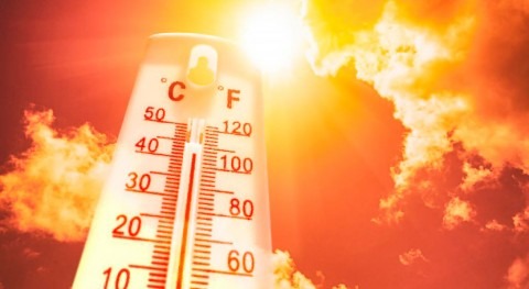 Economic costs of heatwaves to increase five-fold by 2060