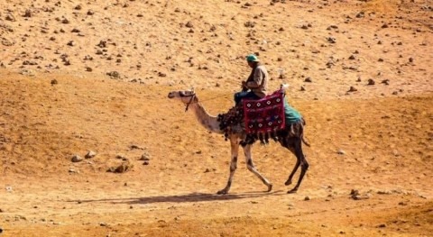 Middle East and North Africa: heatwaves of up to 56 degrees Celsius without climate action