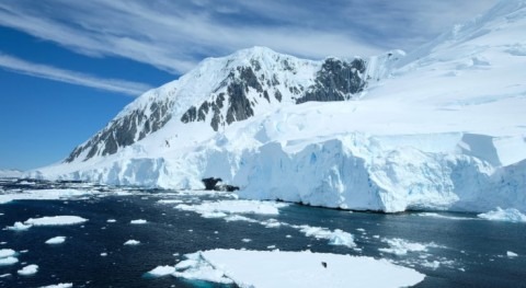 Warming Western Antarctic Peninsula waters impact plankton community